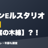 フレンEルスタリオの前世は豆腐の木綿?!