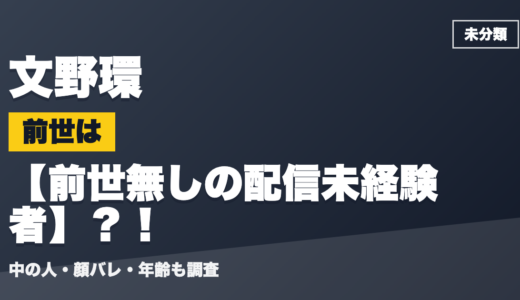 文野環の前世（中の人）は前世無しの配信未経験者？！顔バレ・年齢・理由も調査