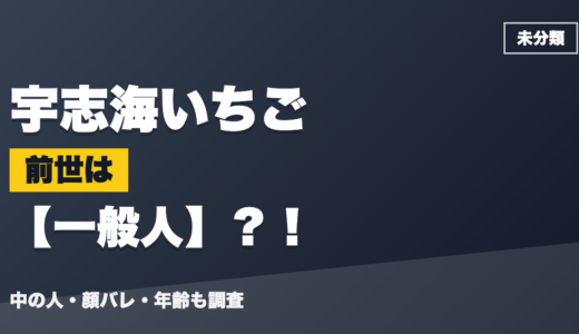宇志海いちごの前世（中の人）は一般人？！顔バレ・年齢・理由も調査