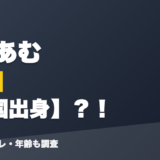 甘音あむの前世は韓国出身?!